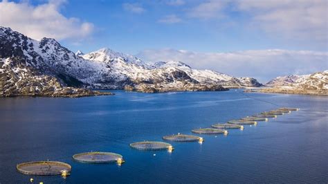 Nye lys fra Signify til fiskeanlegg | Signifys bedriftsnettsted