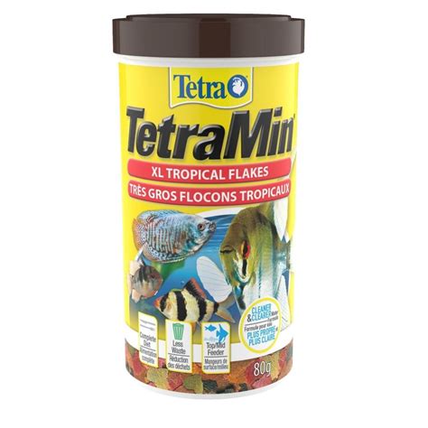 Feeding Tips for Neon Tetras: Essential Guide for Healthy Fish - Top Aquarium