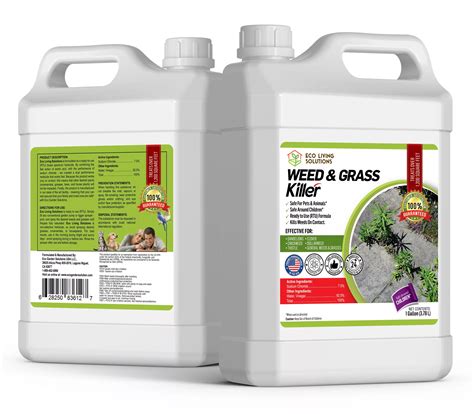 Top 10 Organic Weed Killers: The Eco-Friendly Gardener's Arsenal