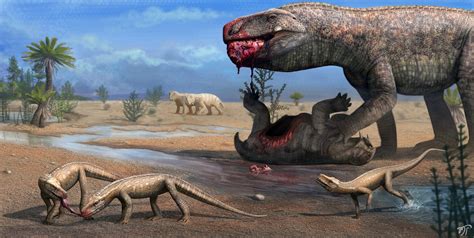 Paleontologists discover fossils of new crocodile-like reptile species that lived 237 million ...