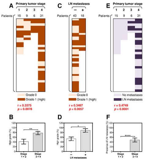 The Periphery of Salivary Gland Carcinoma Tumors Reveals a PD-L1/PD-1 ...