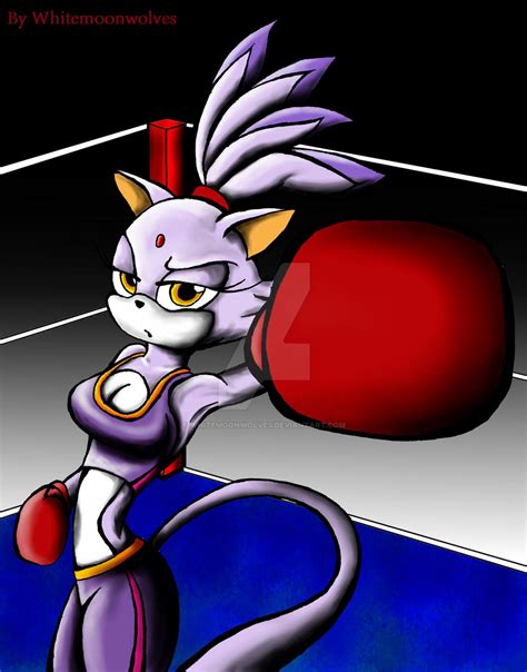 Image result for Knockout Cat Fighting Scripts