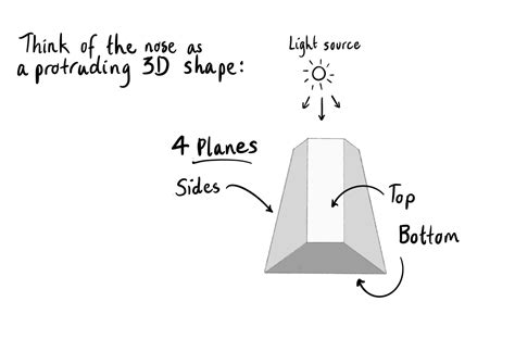 Tonal Nose Drawing Tutorial 的图像结果