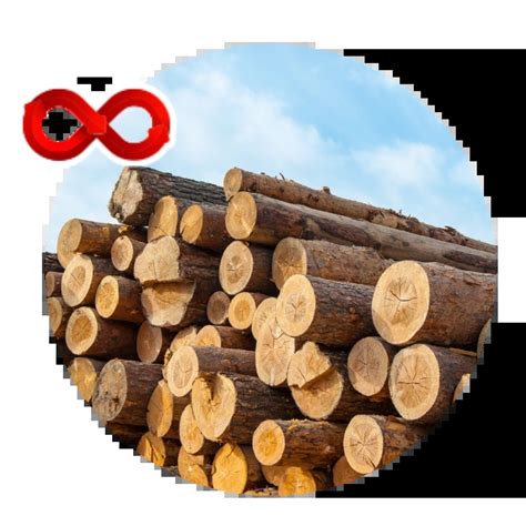 Global Industrial Logistics & Supply Chain Solutions, Chennai