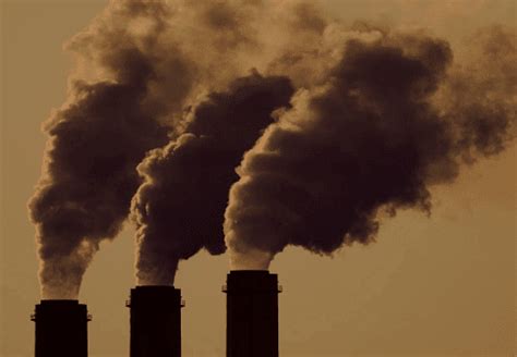 Pollution and its impact on Biosphere - Zoology Optional Notes for UPSC ...