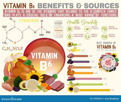 Vitamin B6 Infographic stock vector. Illustration of health - 118700516
