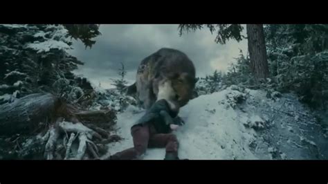 Image result for Wolves Calling