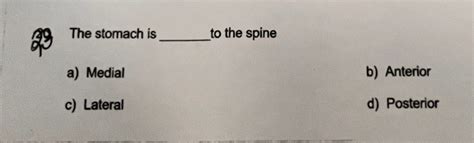 Solved: The stomach is _to the spine a) Medial b) Anterior c) Lateral d ...
