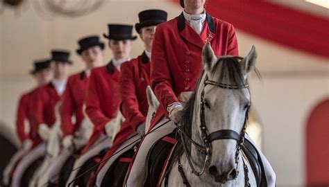 THE SOUTH AFRICAN LIPIZZANERS - All You Need to Know BEFORE You Go 2026 ...