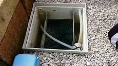 vasca per laghetto filtro per laghetto tartarughe vasca per laghetto filtro per laghetto tartarughe