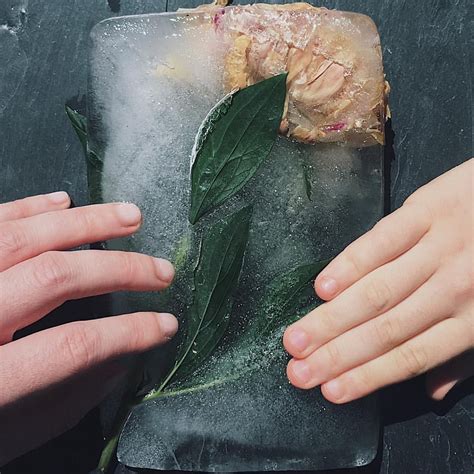 Beautiful Science Experiments 的图像结果