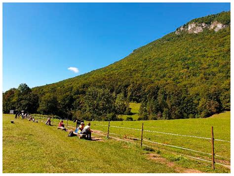 An Anthropogenically Created Landscape as a Habitat for the European ...