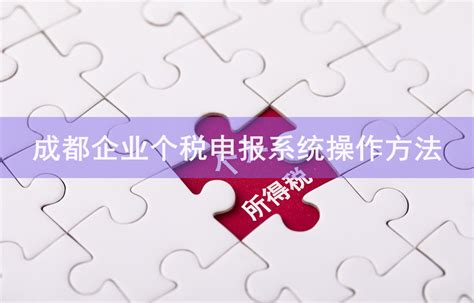 成都企业个税申报系统操作方法-会计网