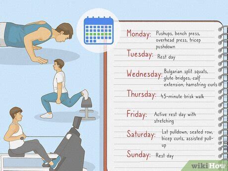 Exercise Program 的图像结果