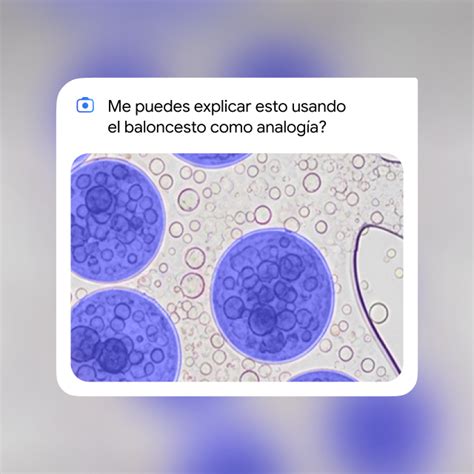 Gemini for Students: tu compañero de estudio con IA de Google