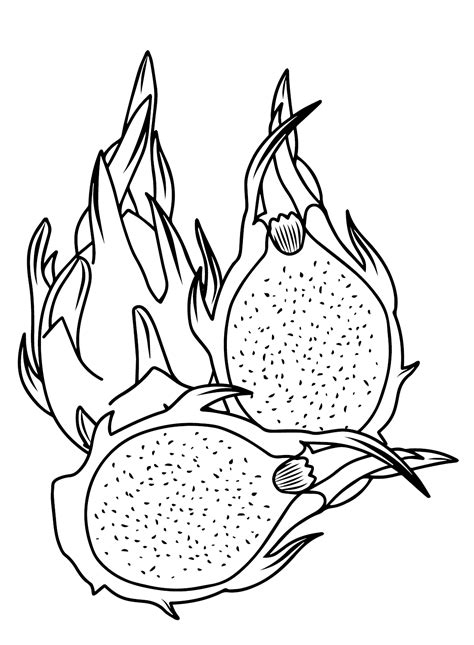 Dragon Fruit Coloring Pages - Coloring Nation