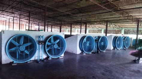 From leaf to cup : A journey through energy-efficient tea processing | CAG