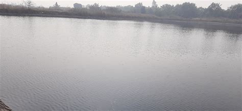 Prayagraj Power Generation Company LTd.