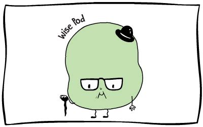 About Podsquad - A Fun learning Activity Boxes for Kids - PodSquad