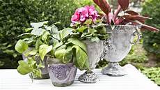 immagini di fiori da stare vaso decora da o con i fiori dalani immagini di fiori da stare vaso decora da o con i fiori dalani