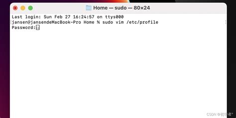 Java 11 Mac Tutorial 的图像结果