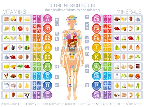 Vitamin and Mineral Chart Digital Poster Size 24x18 - Etsy