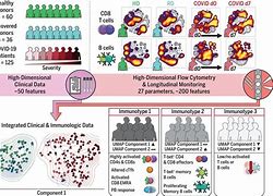 Image result for immunologic