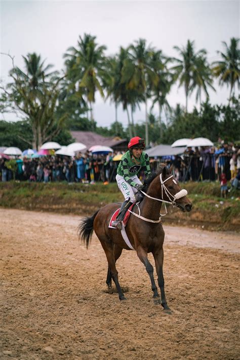 Kuda Romantic Spartan Sabet Juara 1 Kelas 4 Tahun A/B-1600 Meter Di ...