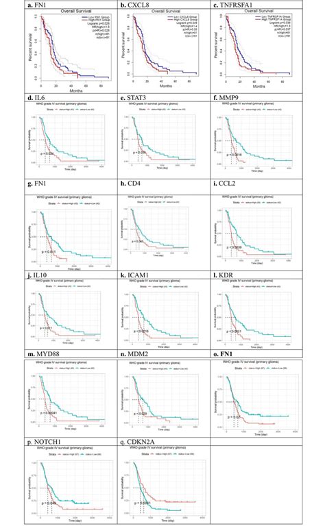 Image result for Tuutorial On Graph Andtable Making