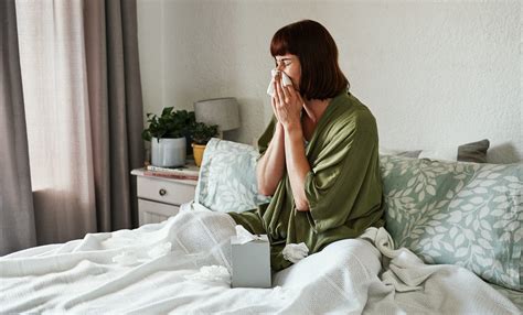 Indoor Allergy Triggers: How to Rid Your Home of Allergens | The Healthy