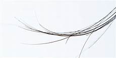 Hair Strands by What Are Rogue Hairs And Should I Worry About Them Hair Strands