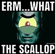 Image result for Plankton What the Scallop