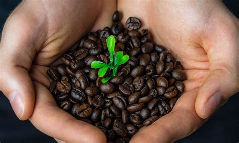 Commerce Equitable Label 的图像结果