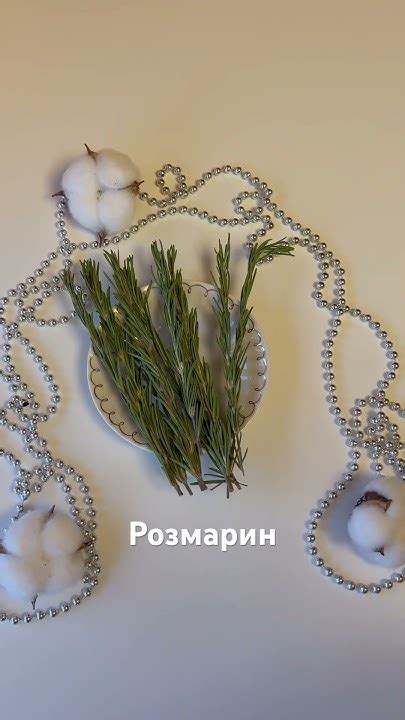 #розмарин #пряности #травы #магия #природнаямагия #магиятрав #силатрав ...