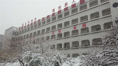 杏坛十载誉天下 大木成林遍九州——襄阳高新外国语学校十年办学发展纪实_腾讯新闻