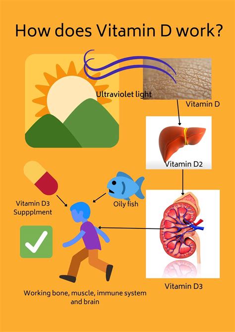 How Fast Does Vitamin D Work