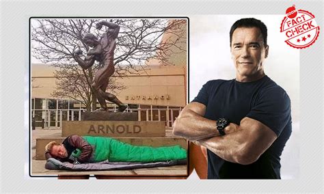 না, আর্নল্ড শোয়ার্জেনেগার তাঁর স্ট্যাচুর নীচে ঘুমাননি | Arnold ...