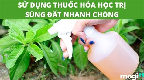 Image result for Alien Rap Song