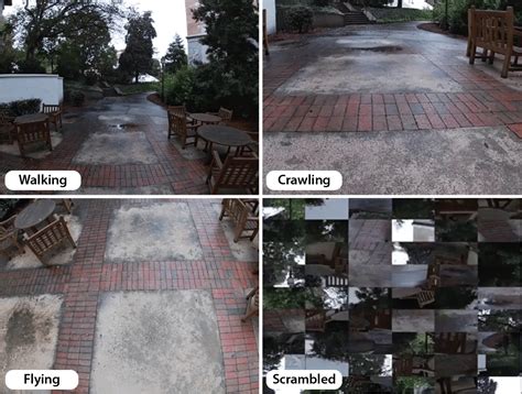 Visually navigating on foot uses unique brain region | National ...