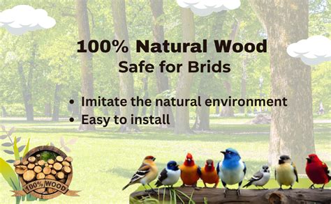 SS Organic Natural Wood Parrot Perch Bird Stand Climbing Standing ...