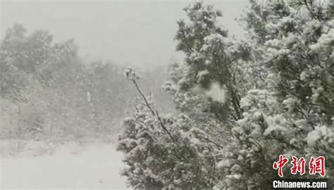 “中国最冷小镇”迎来今秋第一场雪_腾讯新闻