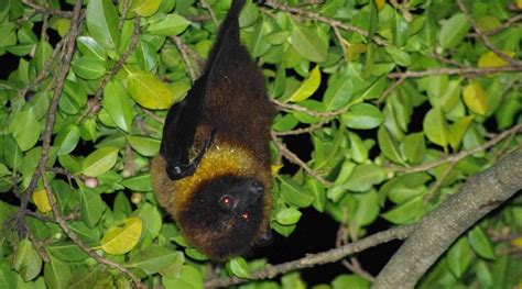 Image result for Array Graph Functions