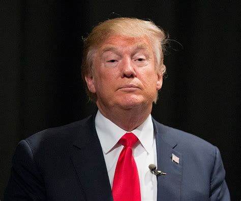 Trump: Being Pres Won't Be 'That Much Different' Than Business ...