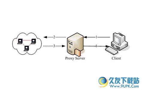 Proxy Data Def