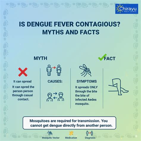 Is Dengue Fever Contagious? Myths and Facts - Chirayu Polyclinic