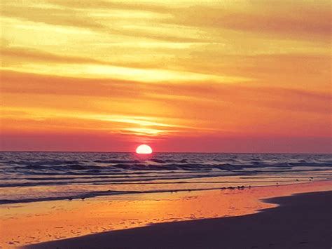 Laetitia Portal on Twitter: "https://t.co/4J4Z7Uskjv" / Twitter