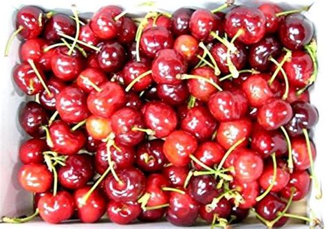 Image result for Java 2 Quick Study Chart