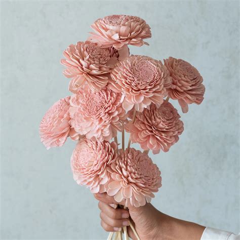 Blush Pink Belly Sola Wood Flowers Sticks (10 Sticks) – Flowers and Fillers