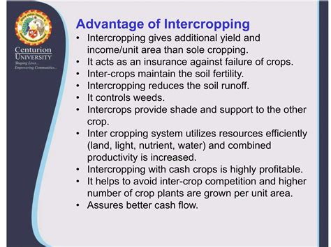 Mechanism Of Yield Advantage In Intercropping Systems
