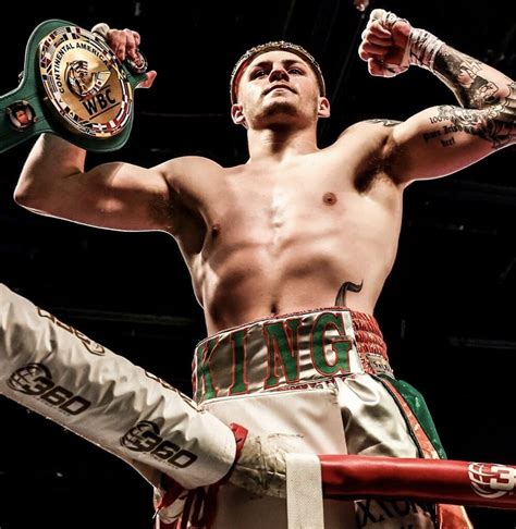 Zuffa Boxing Logo 的图像结果